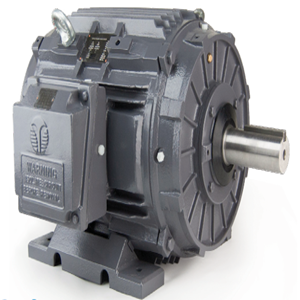 Cooling Tower Motor 冷却塔电机